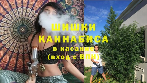 соль ск Пролетарск