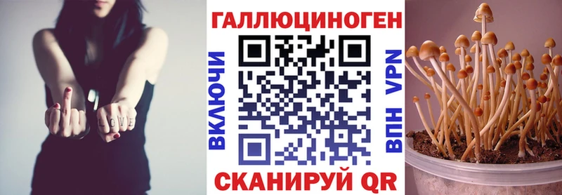 Псилоцибиновые грибы прущие грибы Балей